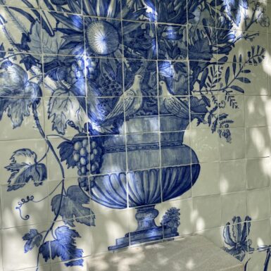 50th-Birthday-Dappled-Light-rotated.jpeg