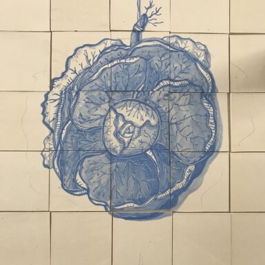 Boplaas-4-rotated.jpg