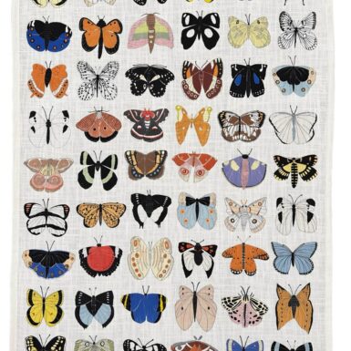 A Gemma Orkin Butterfly Kitchen Towel