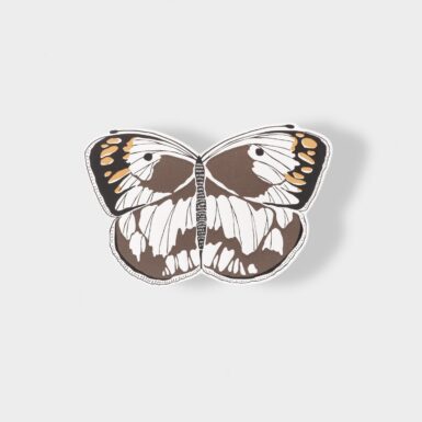 A Gemma Orkin Butterfly Card, Smoky Orange Tip