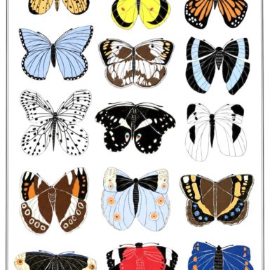 A Set of 15 Butterfly Stickers by Gemma Orkin