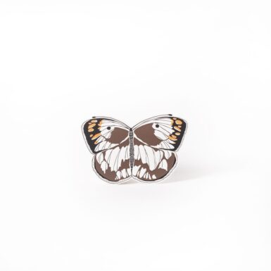 A Gemma Orkin Butterfly Card, Smoky Orange Tip