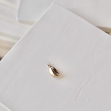 Baby Mussel Charm