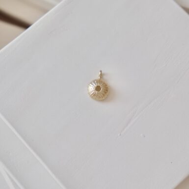 Pumpkin Shell Charm