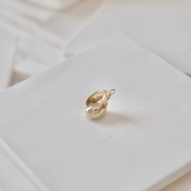 Aunty Shirley's Shell Charm